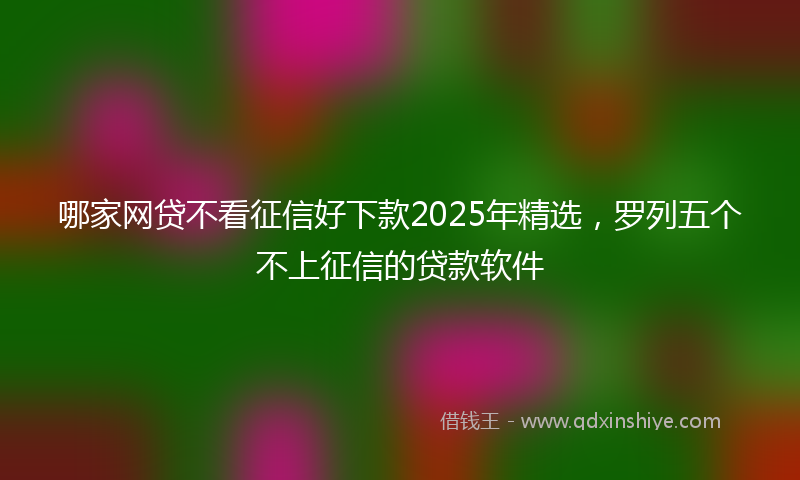 哪家网贷不看征信好下款2025年精选，罗列五个不上征信的贷款软件