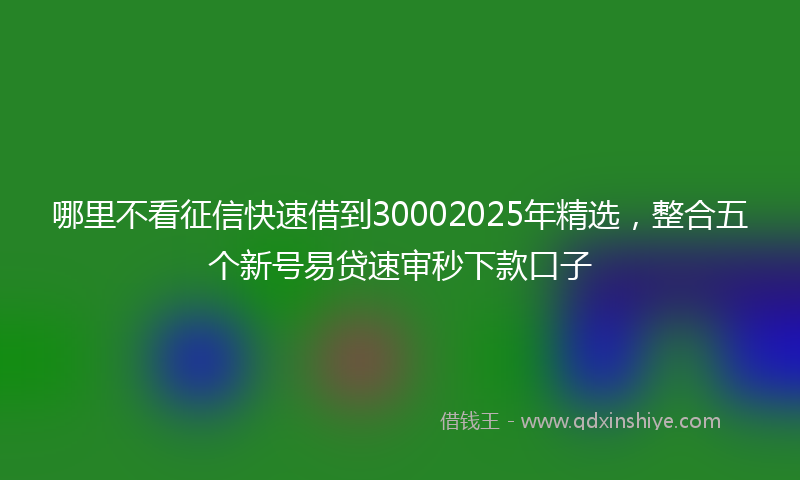 哪里不看征信快速借到30002025年精选，整合五个新号易贷速审秒下款口子