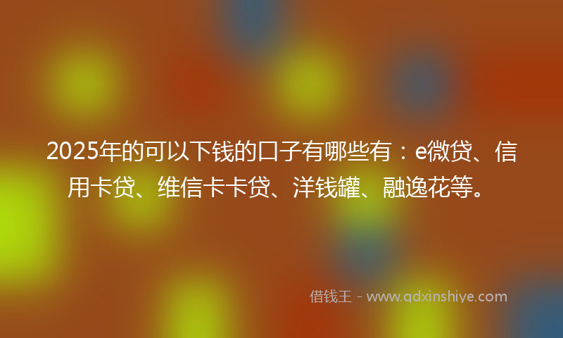 2025年的可以下钱的口子有哪些有：e微贷、信用卡贷、维信卡卡贷、洋钱罐、融逸花等。