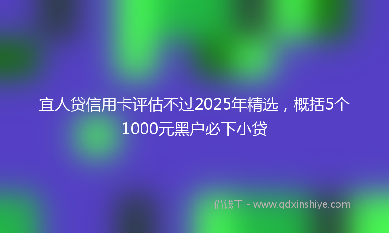 宜人贷信用卡评估不过2025年精选，概括5个1000元黑户必下小贷