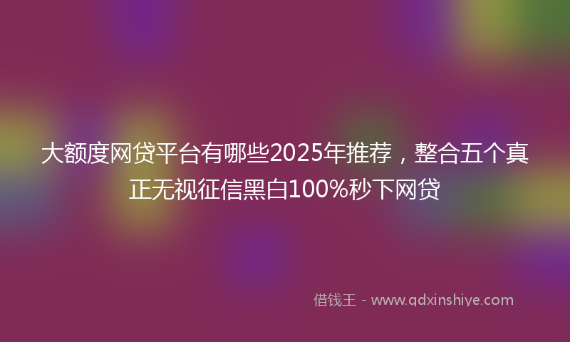 大额度网贷平台有哪些2025年推荐，整合五个真正无视征信黑白100%秒下网贷