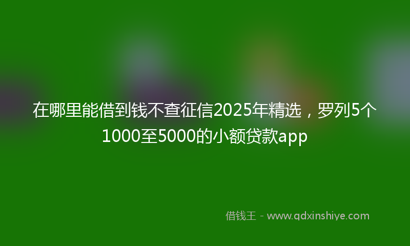 在哪里能借到钱不查征信2025年精选，罗列5个1000至5000的小额贷款app