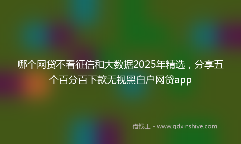 哪个网贷不看征信和大数据2025年精选，分享五个百分百下款无视黑白户网贷app