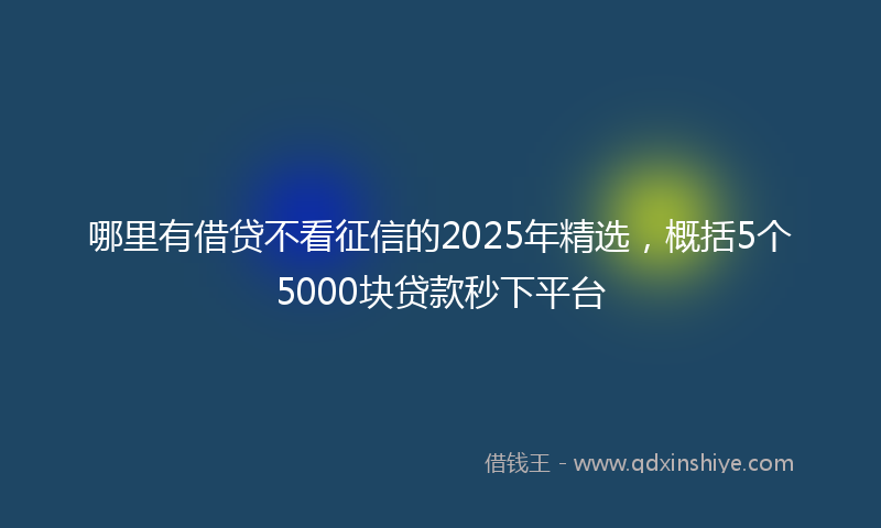 哪里有借贷不看征信的2025年精选，概括5个5000块贷款秒下平台