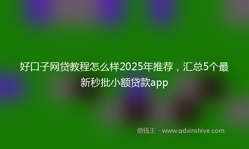 好口子网贷教程怎么样2025年推荐，汇总5个最新秒批小额贷款app