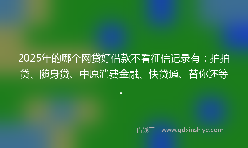 2025年的哪个网贷好借款不看征信记录有：拍拍贷、随身贷、中原消费金融、快贷通、替你还等。