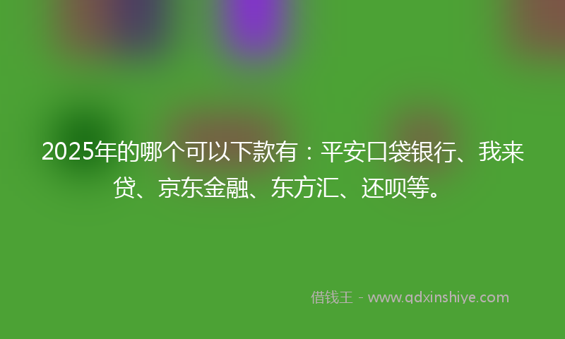 2025年的哪个可以下款有：平安口袋银行、我来贷、京东金融、东方汇、还呗等。