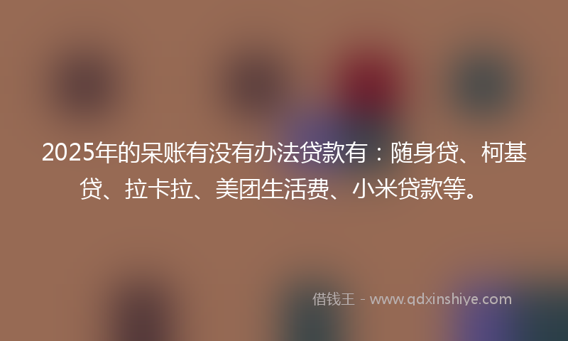 2025年的呆账有没有办法贷款有：随身贷、柯基贷、拉卡拉、美团生活费、小米贷款等。