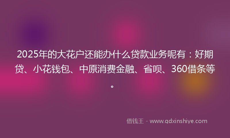 2025年的大花户还能办什么贷款业务呢有：好期贷、小花钱包、中原消费金融、省呗、360借条等。