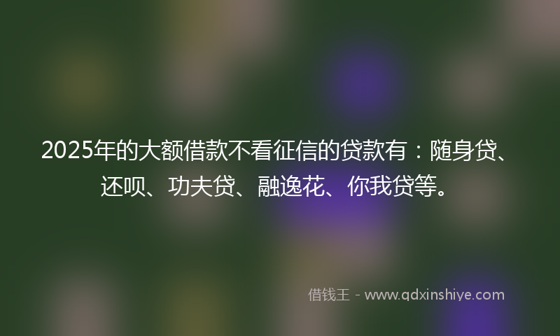 2025年的大额借款不看征信的贷款有：随身贷、还呗、功夫贷、融逸花、你我贷等。