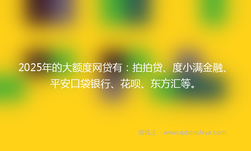 2025年的大额度网贷有：拍拍贷、度小满金融、平安口袋银行、花呗、东方汇等。