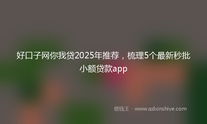 好口子网你我贷2025年推荐，梳理5个最新秒批小额贷款app