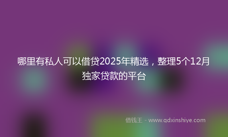 哪里有私人可以借贷2025年精选，整理5个12月独家贷款的平台
