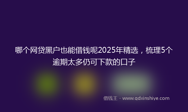 哪个网贷黑户也能借钱呢2025年精选，梳理5个逾期太多仍可下款的口子