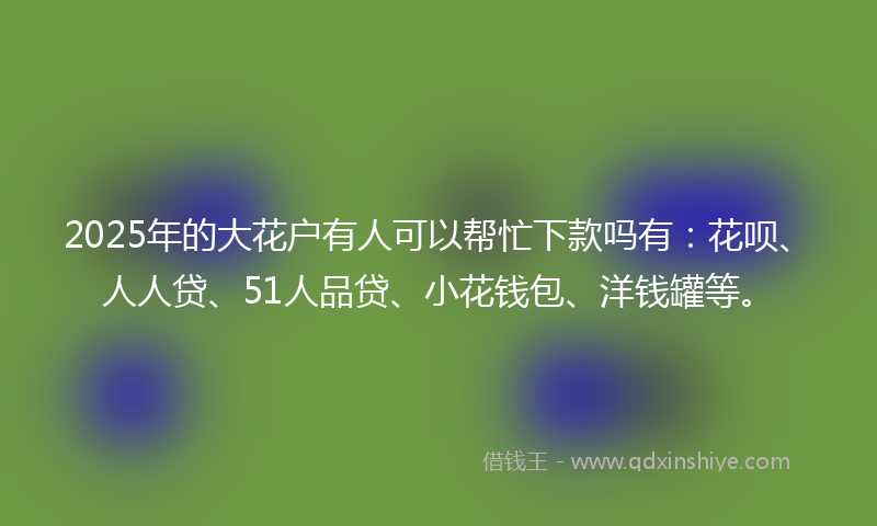 2025年的大花户有人可以帮忙下款吗有：花呗、人人贷、51人品贷、小花钱包、洋钱罐等。