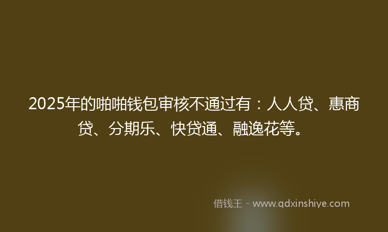 2025年的啪啪钱包审核不通过有：人人贷、惠商贷、分期乐、快贷通、融逸花等。