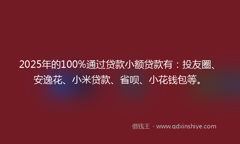 2025年的100%通过贷款小额贷款有：投友圈、安逸花、小米贷款、省呗、小花钱包等。