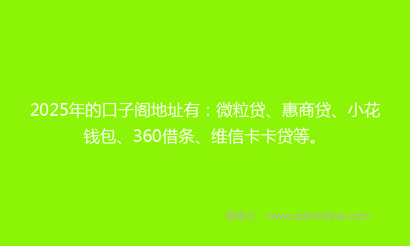 2025年的口子阁地址有：微粒贷、惠商贷、小花钱包、360借条、维信卡卡贷等。