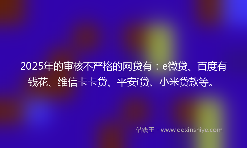 2025年的审核不严格的网贷有：e微贷、百度有钱花、维信卡卡贷、平安i贷、小米贷款等。