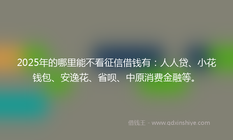 2025年的哪里能不看征信借钱有：人人贷、小花钱包、安逸花、省呗、中原消费金融等。