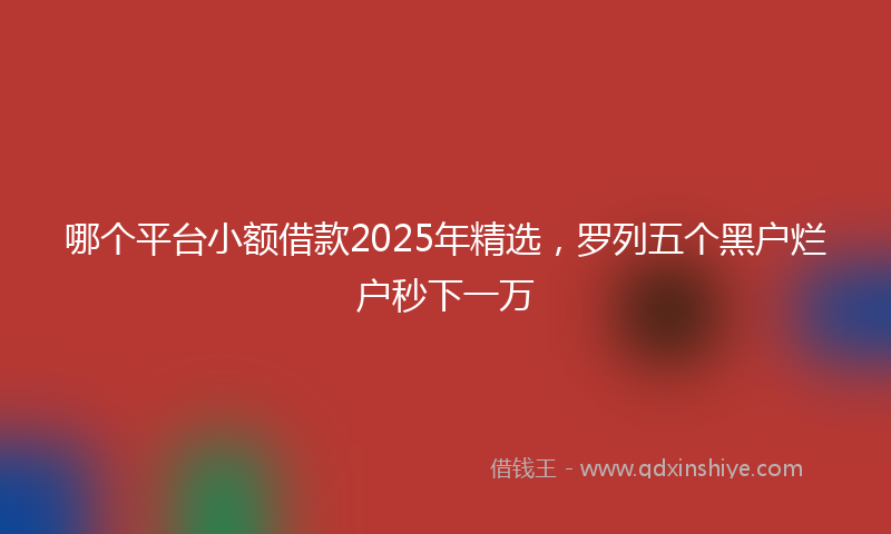 哪个平台小额借款2025年精选，罗列五个黑户烂户秒下一万