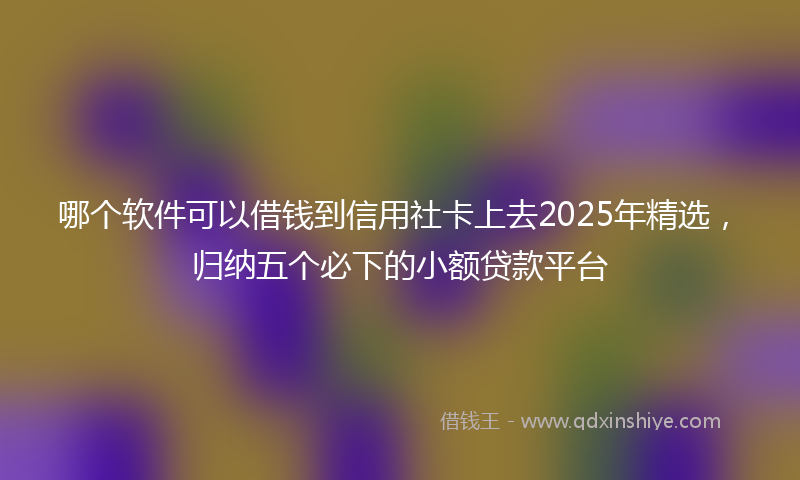 哪个软件可以借钱到信用社卡上去2025年精选，归纳五个必下的小额贷款平台