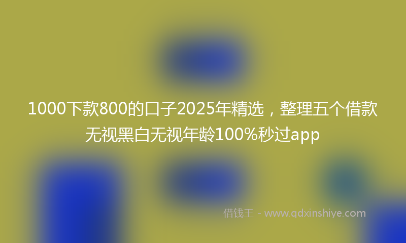 1000下款800的口子2025年精选，整理五个借款无视黑白无视年龄100%秒过app