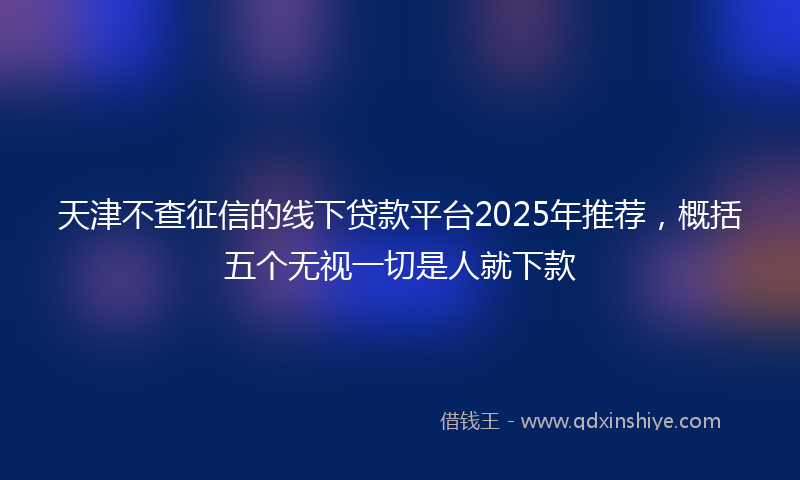 天津不查征信的线下贷款平台2025年推荐，概括五个无视一切是人就下款