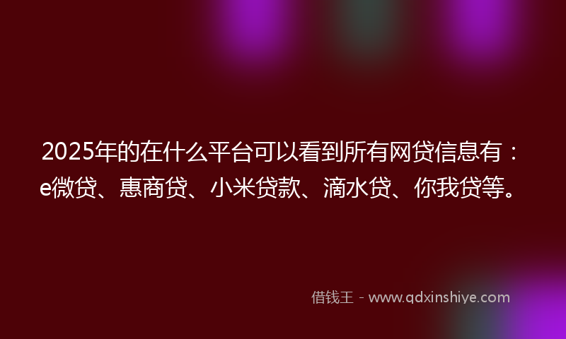 2025年的在什么平台可以看到所有网贷信息有：e微贷、惠商贷、小米贷款、滴水贷、你我贷等。