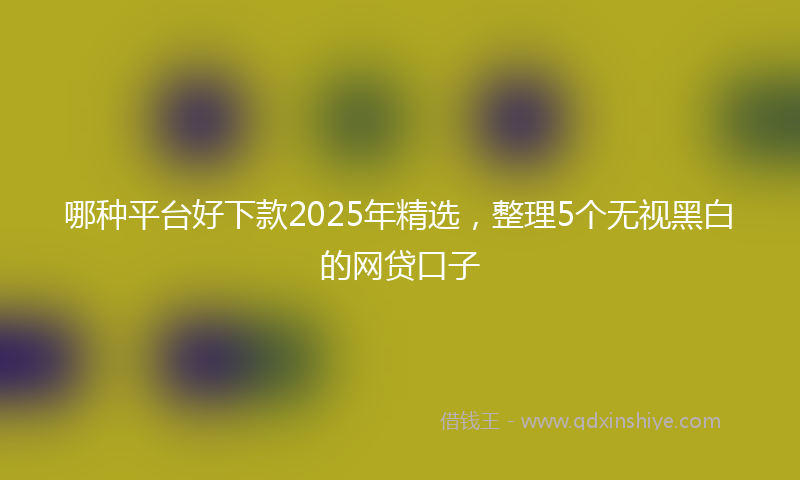 哪种平台好下款2025年精选，整理5个无视黑白的网贷口子
