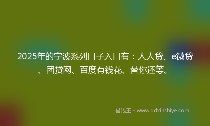 2025年的宁波系列口子入口有：人人贷、e微贷、团贷网、百度有钱花、替你还等。