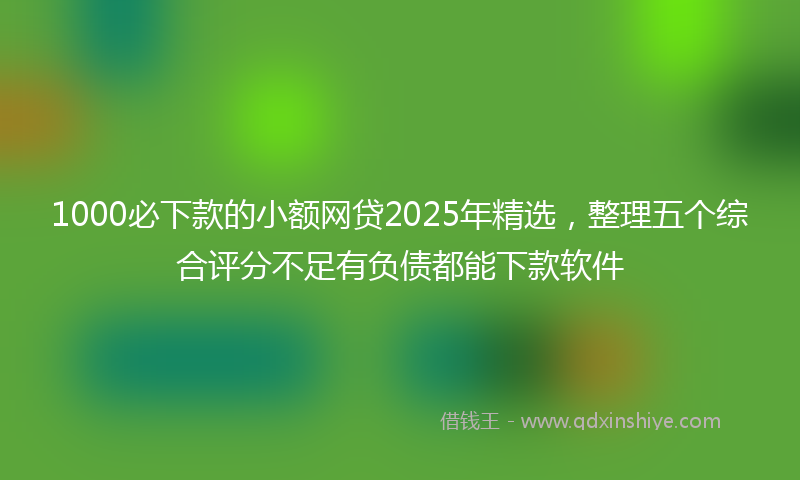 1000必下款的小额网贷2025年精选，整理五个综合评分不足有负债都能下款软件