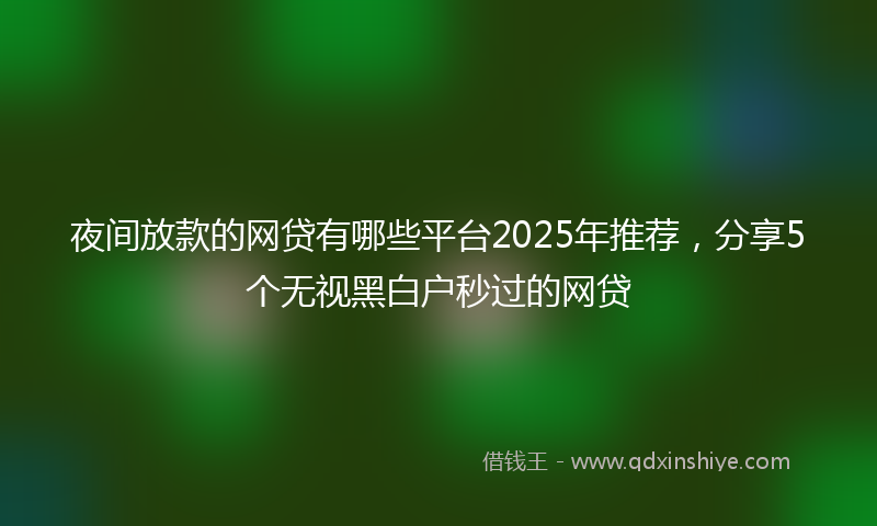 夜间放款的网贷有哪些平台2025年推荐，分享5个无视黑白户秒过的网贷