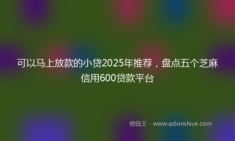 可以马上放款的小贷2025年推荐，盘点五个芝麻信用600贷款平台