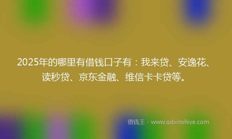2025年的哪里有借钱口子有：我来贷、安逸花、读秒贷、京东金融、维信卡卡贷等。