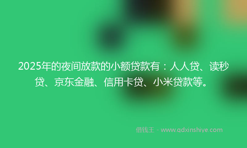 2025年的夜间放款的小额贷款有：人人贷、读秒贷、京东金融、信用卡贷、小米贷款等。