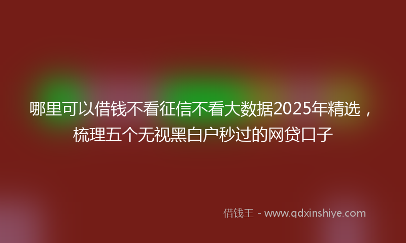 哪里可以借钱不看征信不看大数据2025年精选，梳理五个无视黑白户秒过的网贷口子