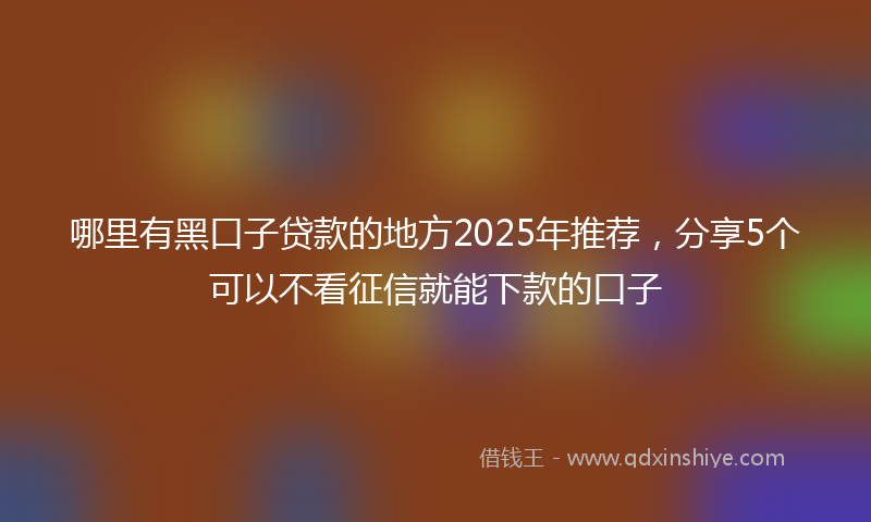 哪里有黑口子贷款的地方2025年推荐，分享5个可以不看征信就能下款的口子