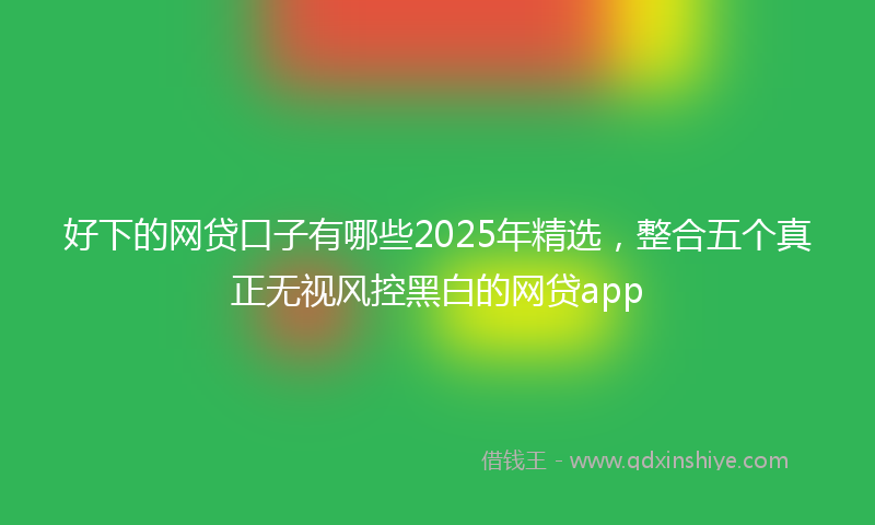 好下的网贷口子有哪些2025年精选，整合五个真正无视风控黑白的网贷app