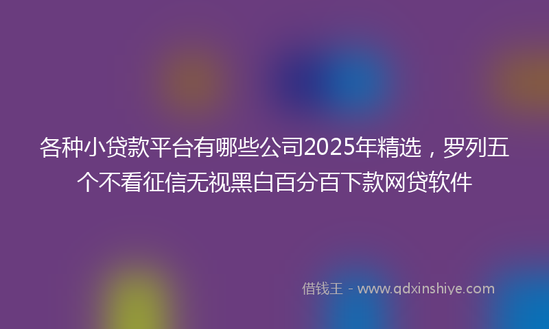 各种小贷款平台有哪些公司2025年精选，罗列五个不看征信无视黑白百分百下款网贷软件