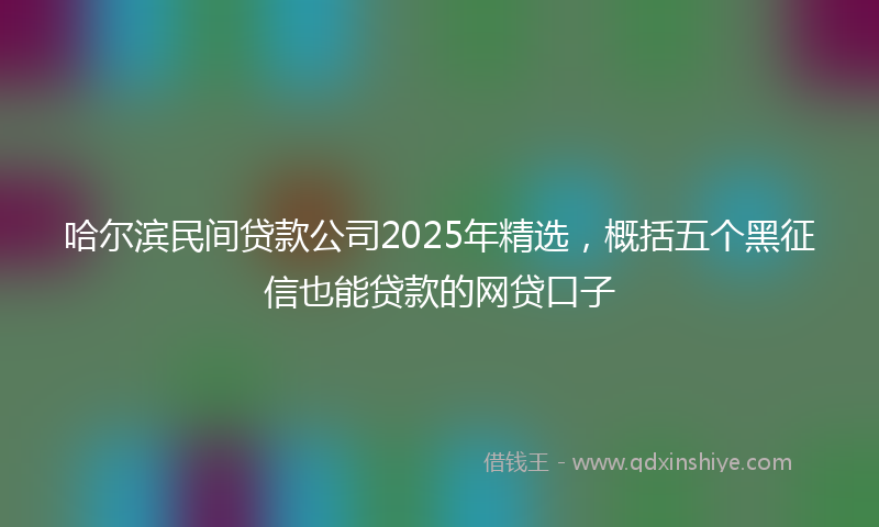 哈尔滨民间贷款公司2025年精选，概括五个黑征信也能贷款的网贷口子