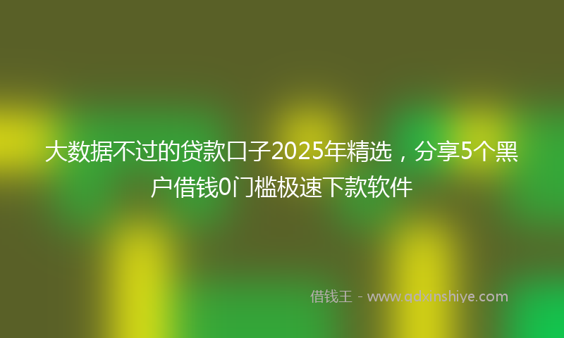 大数据不过的贷款口子2025年精选，分享5个黑户借钱0门槛极速下款软件