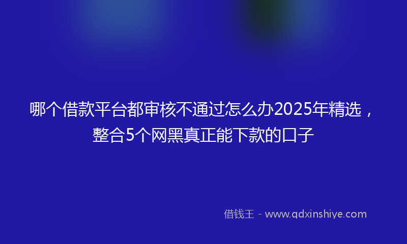 哪个借款平台都审核不通过怎么办2025年精选，整合5个网黑真正能下款的口子