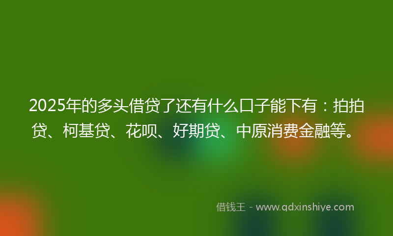 2025年的多头借贷了还有什么口子能下有：拍拍贷、柯基贷、花呗、好期贷、中原消费金融等。
