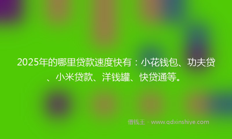 2025年的哪里贷款速度快有：小花钱包、功夫贷、小米贷款、洋钱罐、快贷通等。