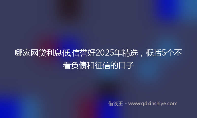 哪家网贷利息低,信誉好2025年精选，概括5个不看负债和征信的口子