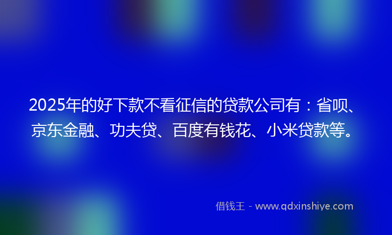 2025年的好下款不看征信的贷款公司有：省呗、京东金融、功夫贷、百度有钱花、小米贷款等。