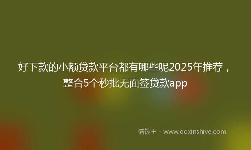 好下款的小额贷款平台都有哪些呢2025年推荐，整合5个秒批无面签贷款app