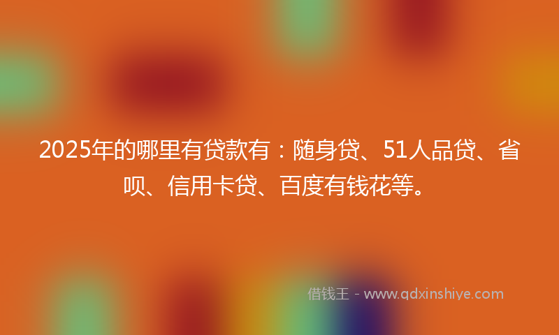 2025年的哪里有贷款有：随身贷、51人品贷、省呗、信用卡贷、百度有钱花等。