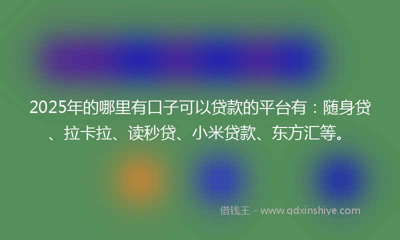 2025年的哪里有口子可以贷款的平台有：随身贷、拉卡拉、读秒贷、小米贷款、东方汇等。